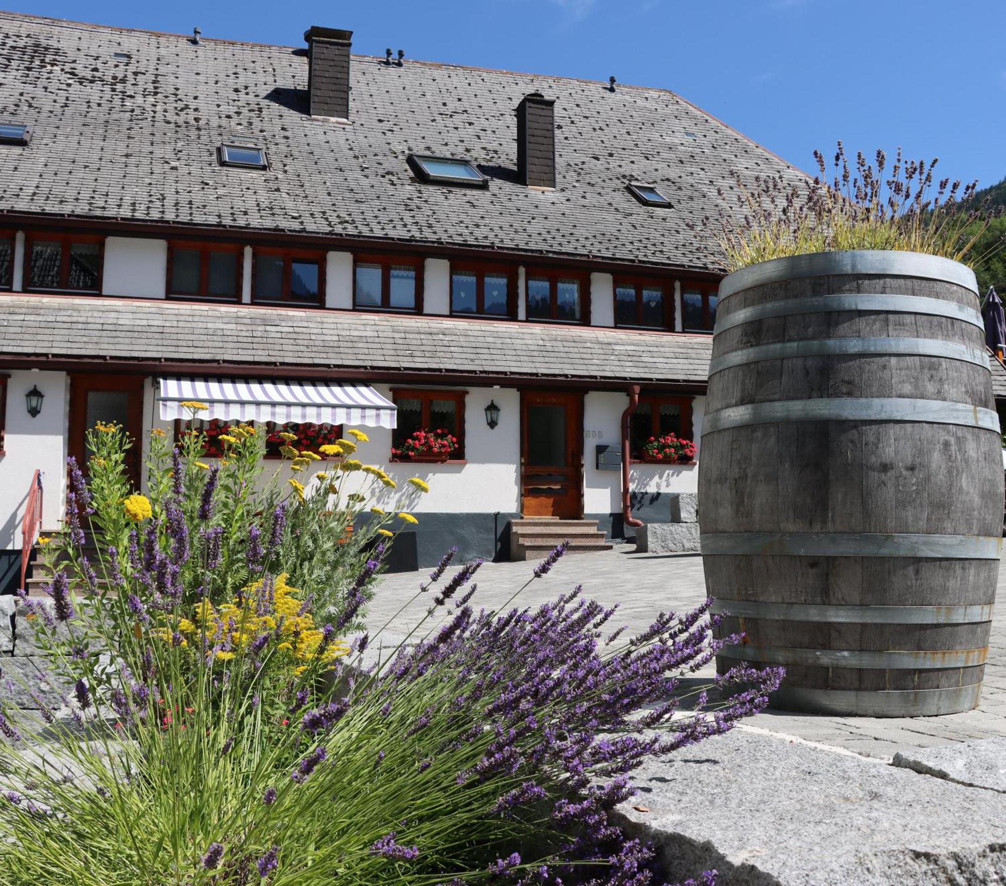 Ferienwohnungen Haus Hees Todtnau Exterior foto